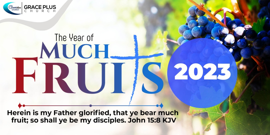 2023 The Year Of Much Fruits Main Banner