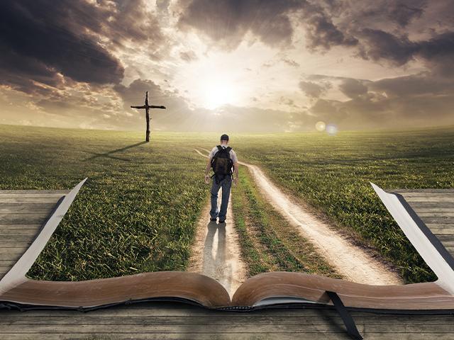 man nature bible si