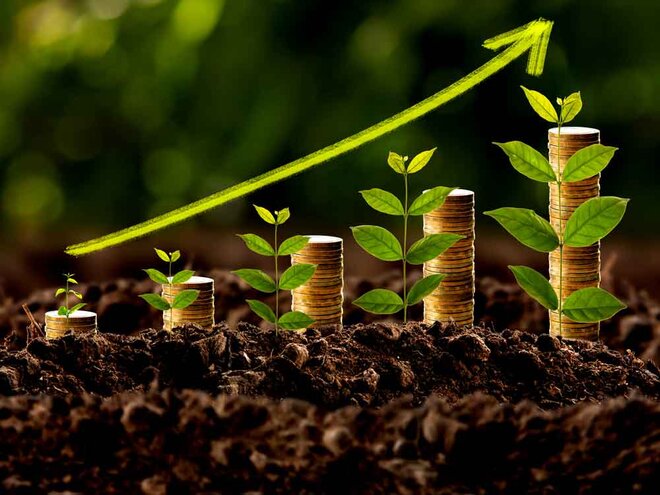 47418 growing mutual fund w660 