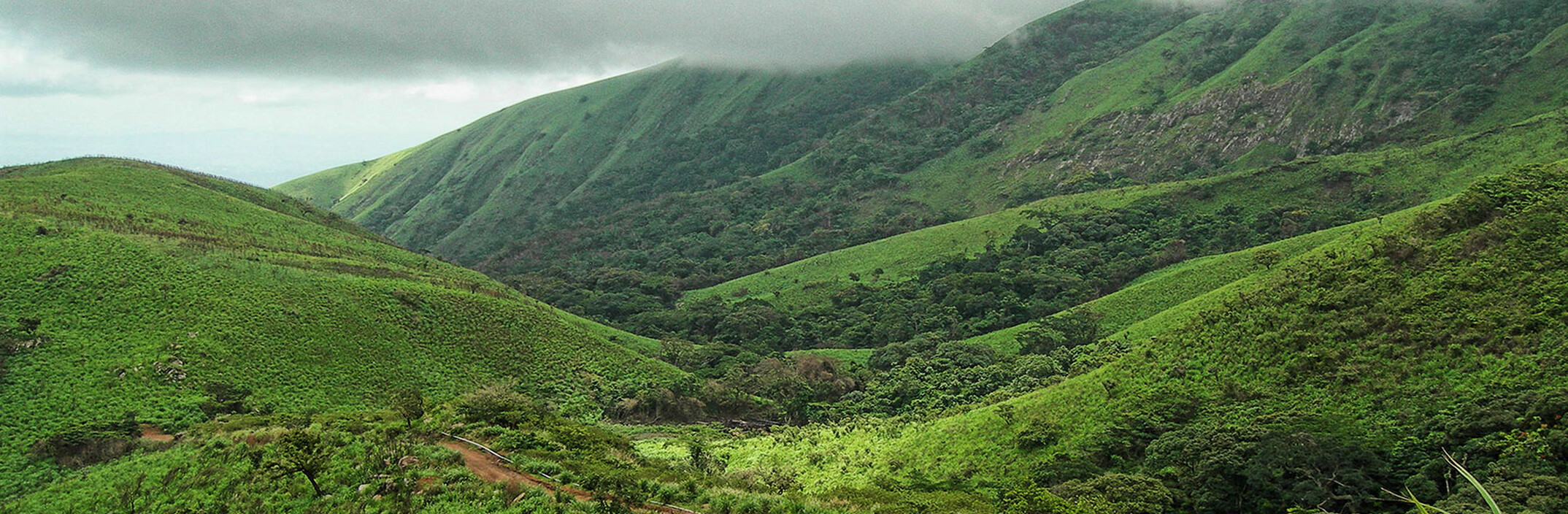 activity 725 2148 704 20220308132126