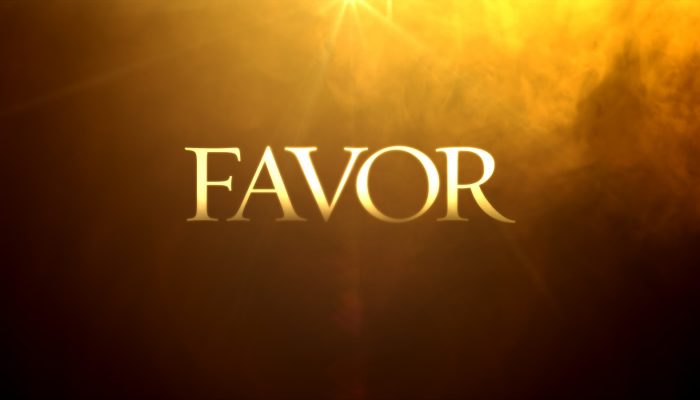 favor 00484 700x400